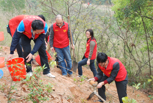 1482897221103085.jpg 15.jpg