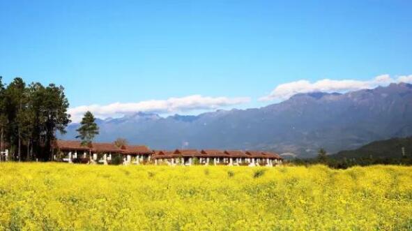 在最美的季節(jié)遇見你 雅居樂“上山下?！斌w驗(yàn)行