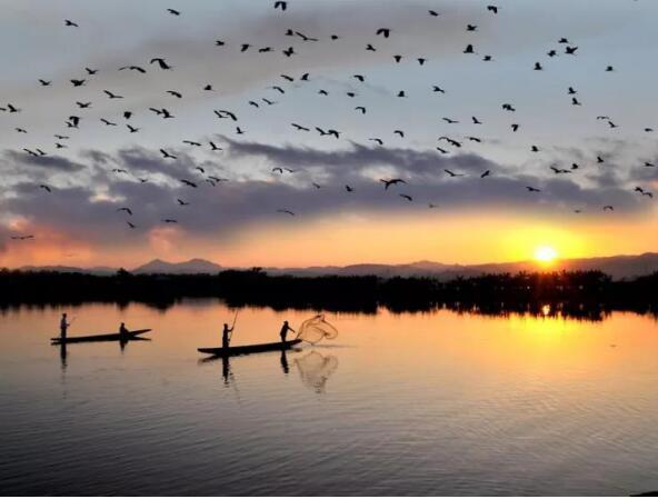 在最美的季節(jié)遇見你 雅居樂“上山下?！斌w驗(yàn)行