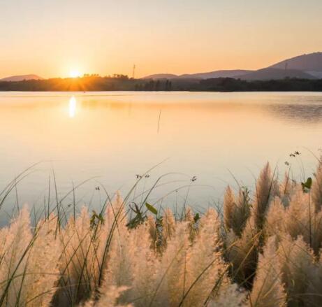 在最美的季節(jié)遇見你 雅居樂“上山下?！斌w驗(yàn)行