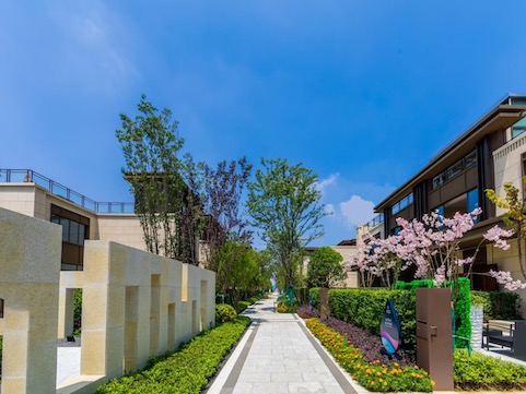 1547980298592111.jpg 2141547978752_.pic.jpg