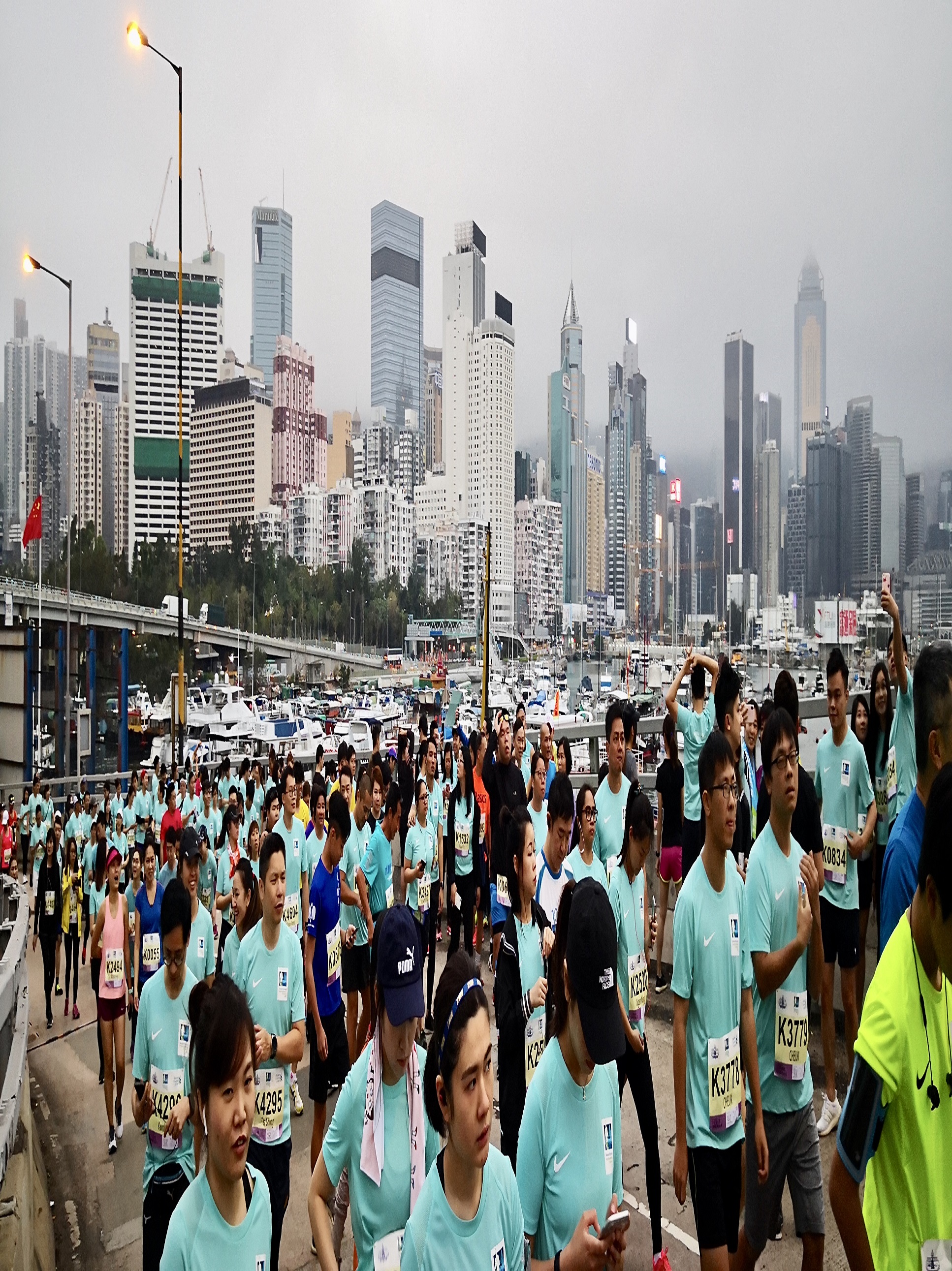 1550547401111059.jpg 3.jpg